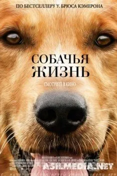 Собачья жизнь