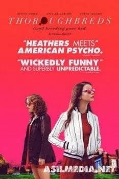 Чистокровные