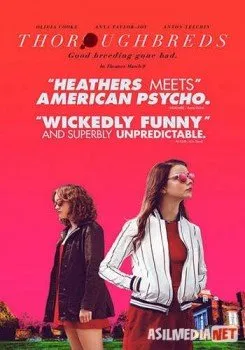 Чистокровные / Thoroughbreds