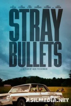 Шальные пули